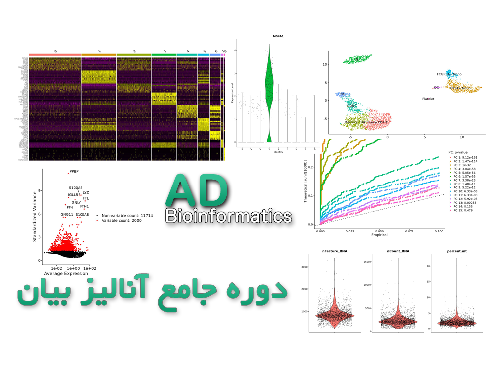 تصویر دوره