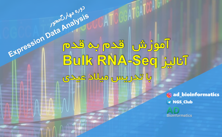  نمونه تدریس از دوره Bulk RNA-Seq